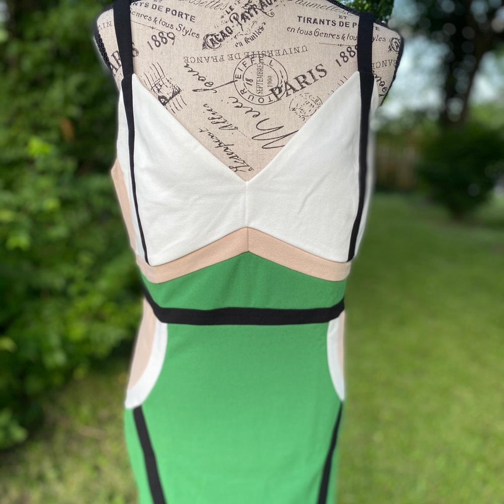 Fashion Nova color block mini dress